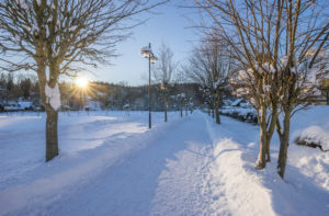 Deutschland, Sachsen-Anhalt, Elend, Wanderweg im Winter Deutschland, Sachsen-Anhalt, Elend, Wanderweg im Winter